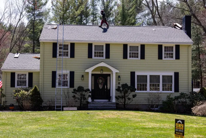 Senco crew on the roof of a colonial in Tewksbury, MA, with mature trees overhanging the roofline